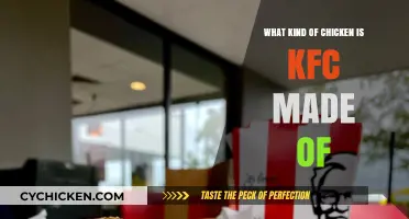 Unveiling KFC's Secret: What Type of Chicken is Used?