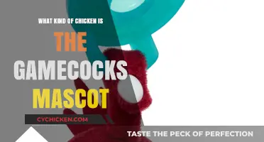 Unveiling the Breed: What Chicken Inspires the Gamecocks Mascot?