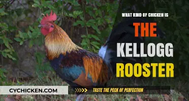 Unveiling the Kellogg Rooster: Exploring the Chicken Breed Behind the Icon
