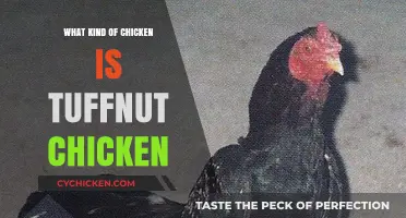 Tuffnut Chicken Explained: Breed, Characteristics, and Culinary Uses