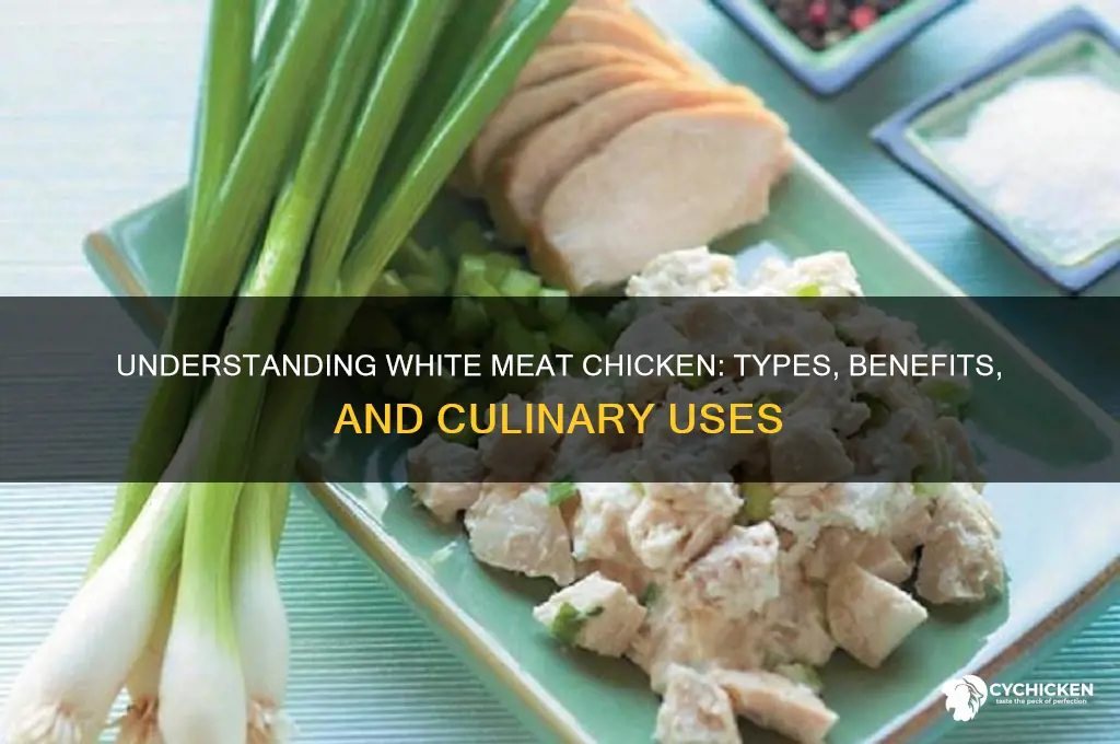 what kind of chicken is white meat chicken