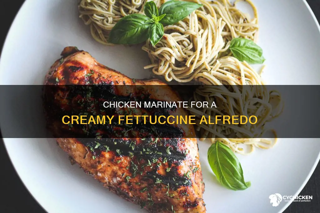 what kind of chicken marinate goes with fettuccine alfredo