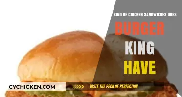 Burger King's Chicken Sandwich Varieties: A Tasty Guide to All Options