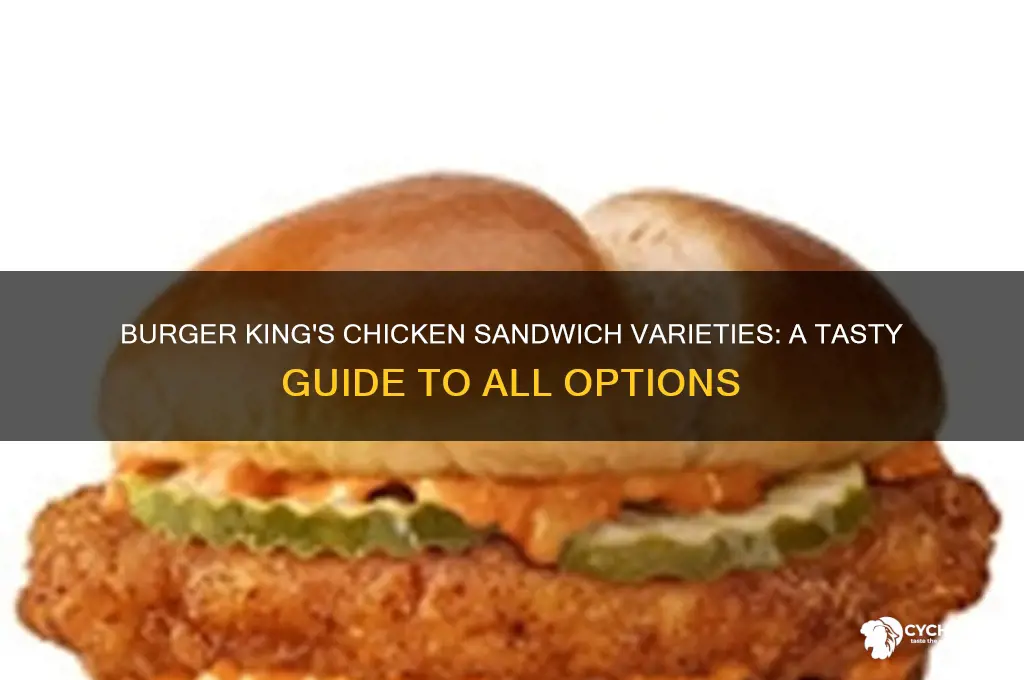 what kind of chicken sandwiches does burger king have
