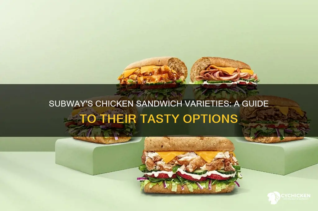 what kind of chicken sandwiches does subway have