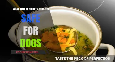 Chicken Stock for Dogs: Safe or Not?