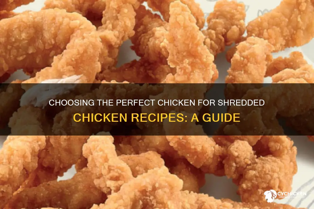 what kind of chicken tk buy for shredded chickeb