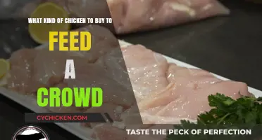 Best Chicken Types for Feeding a Crowd: A Buyer's Guide