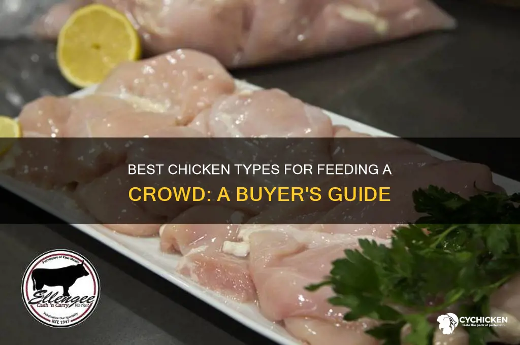 what kind of chicken to buy to feed a crowd