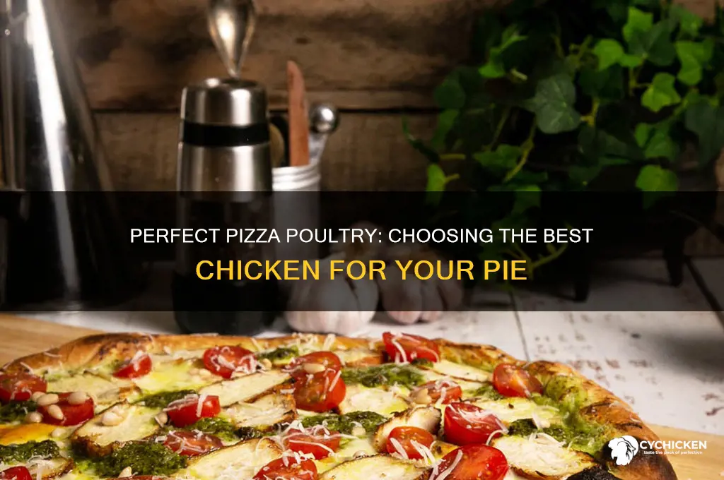 what kind of chicken to put on pizza