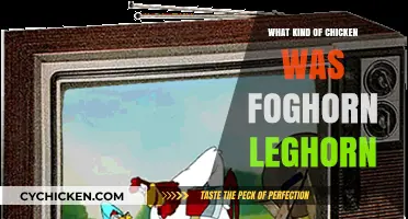 Unveiling Foghorn Leghorn's Breed: A Cartoon Chicken's Real-Life Roots