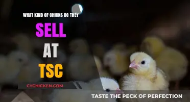 Tractor Supply Chick Buying Guide