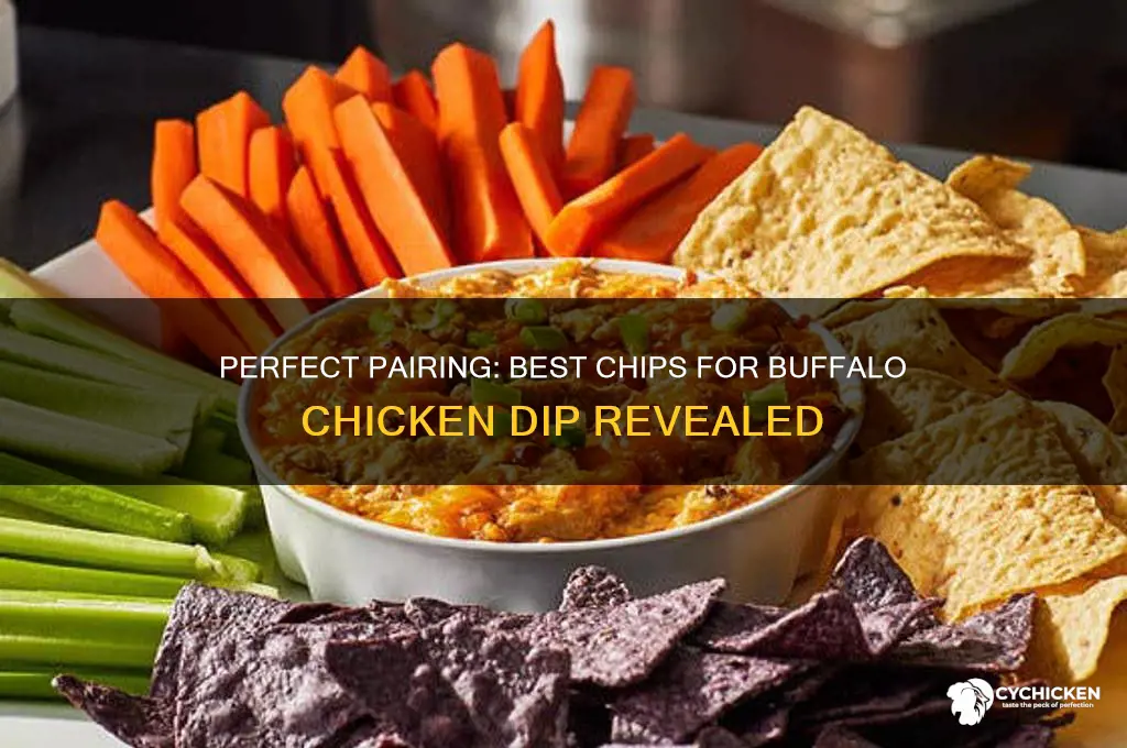 what kind of chips for buffalo chicken dip