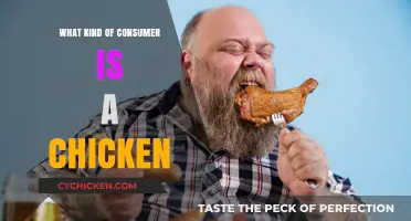 Understanding Chickens: Their Consumer Behavior and Dietary Preferences Explained