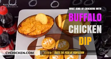 Perfect Pairings: Best Crackers to Serve with Buffalo Chicken Dip