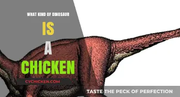 Are Chickens Modern Dinosaurs? Unraveling the Ancient Connection