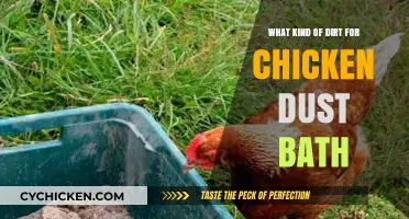 Best Dirt Types for Healthy Chicken Dust Baths: A Guide