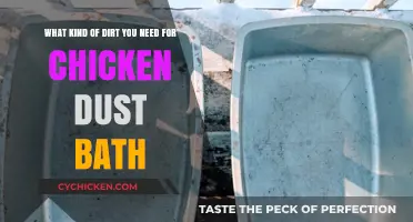 Chicken Dust Bath: Choosing the Right Dirt