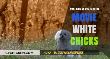 Comedy Movie Dog Breed: White Chicks