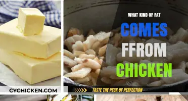 Understanding the Types of Fat Found in Chicken: A Nutritional Guide