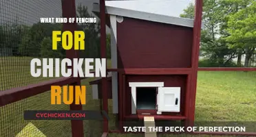 Choosing the Best Fencing for Your Chicken Run: A Guide