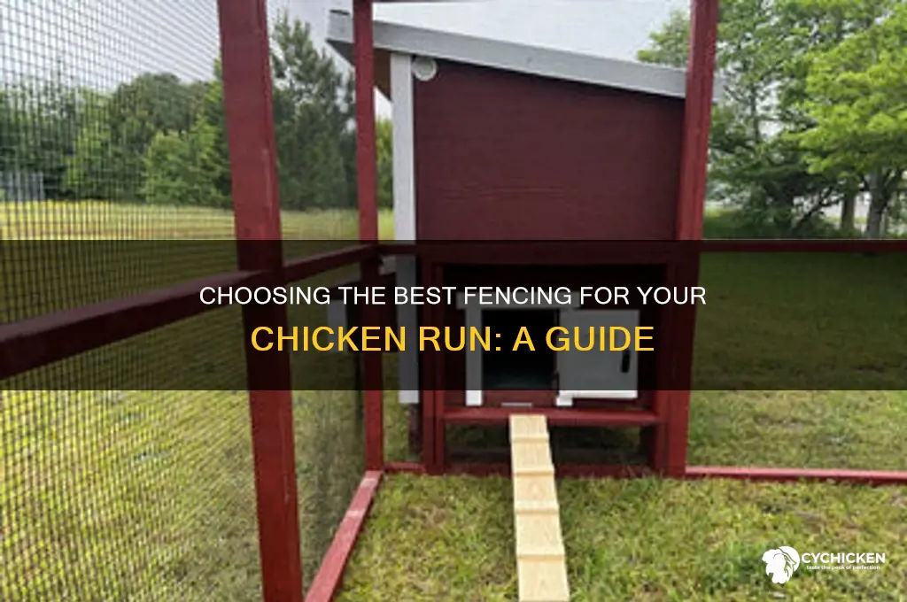 what kind of fencing for chicken run