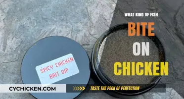 Unusual Catch: Which Fish Species Bite on Chicken Bait?