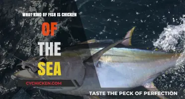 Chicken of the Sea: What Fish Species Does It Refer To?