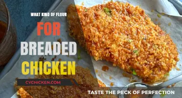 Best Flour Types for Perfectly Crispy Breaded Chicken Every Time