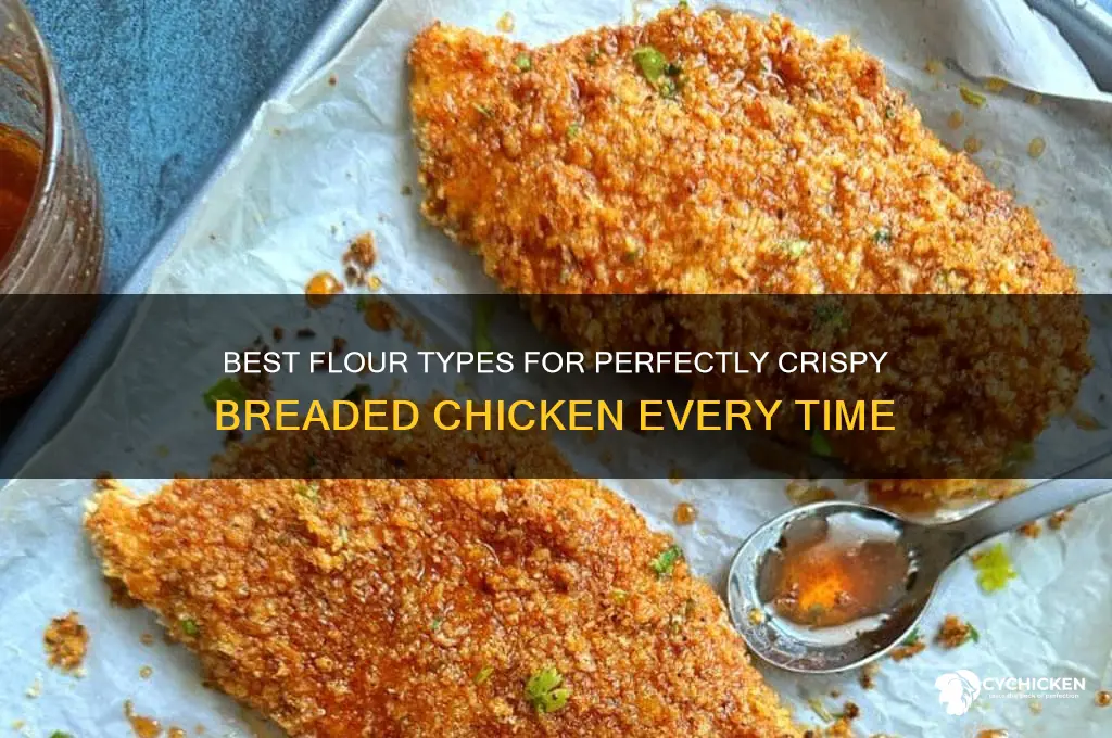 what kind of flour for breaded chicken