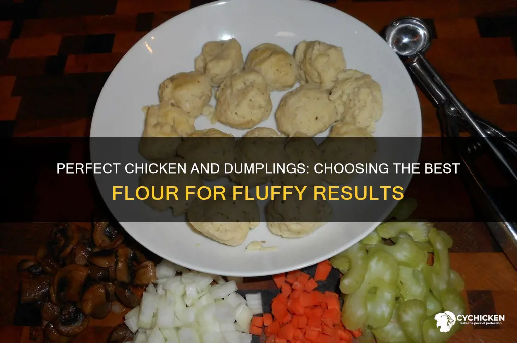 what kind of flour for chicken and dumplings