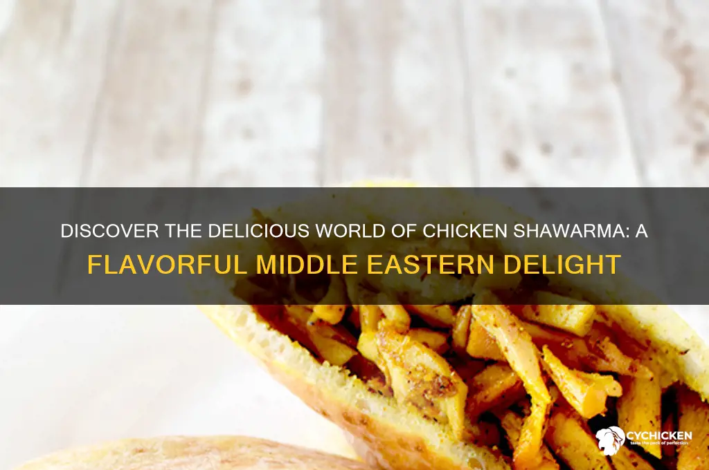 what kind of food is chicken shawarma