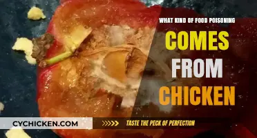 Chicken Food Poisoning: Common Causes and Symptoms to Watch For