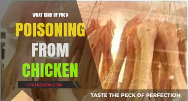 Common Chicken-Related Food Poisoning Causes and Symptoms Explained