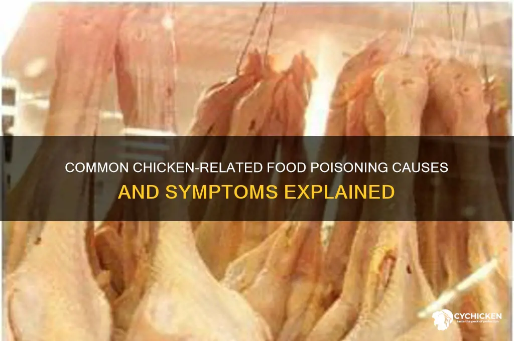 what kind of food poisoning from chicken