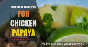 Choosing the Perfect Green Papaya for Your Chicken Papaya Recipe