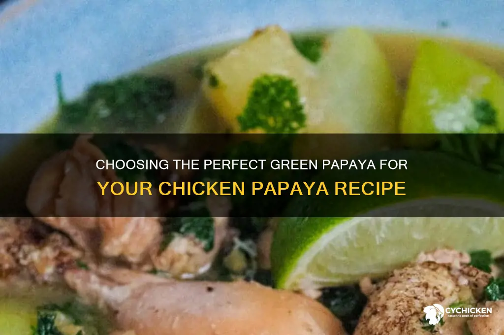 what kind of green papaya for chicken papaya