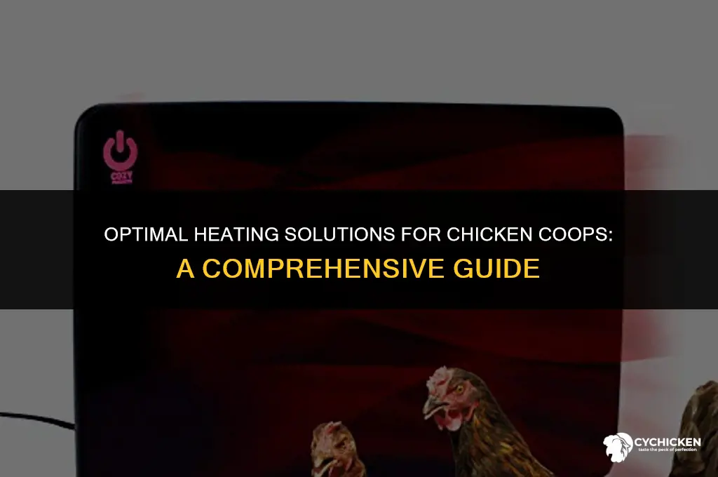 what kind of heat do you put in chicken coops