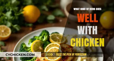 Herbs That Perfectly Complement Chicken: Elevate Your Culinary Creations