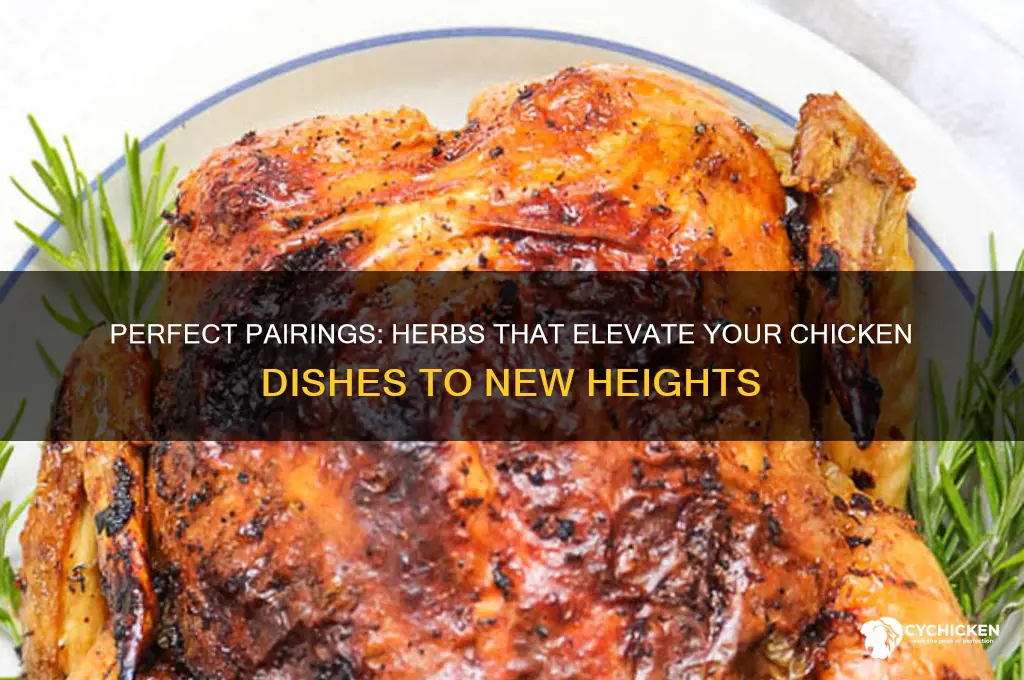what kind of herbs go with chicken