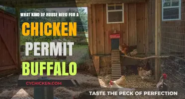 Chicken Coop Requirements for Buffalo Residents