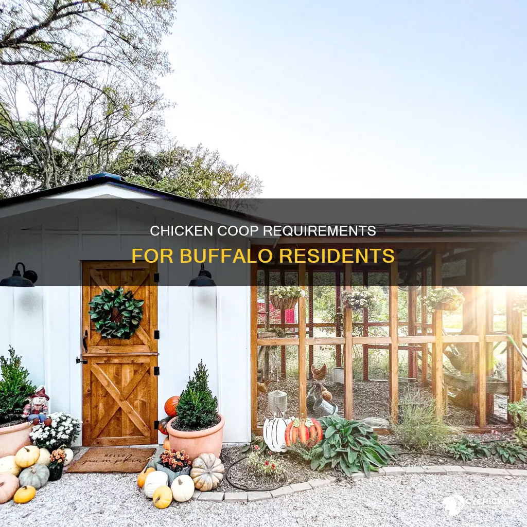 what kind of house need for a chicken permit buffalo