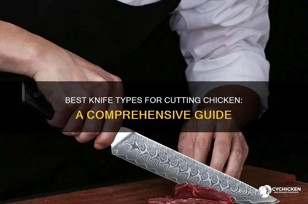 what kind of knife to cut chicken