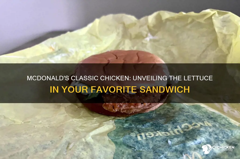 what kind of lettuce on mcdonald classic chicken