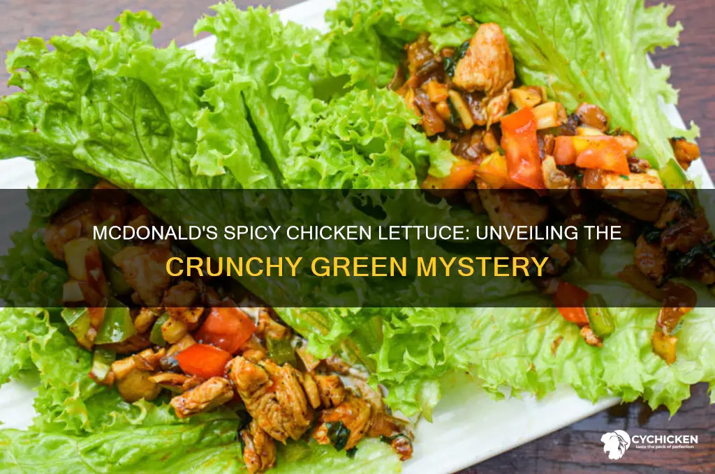 what kind of lettuce on mcdonalds spicy chicken