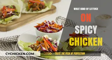 Best Lettuce Pairings for Spicy Chicken Sandwiches and Salads
