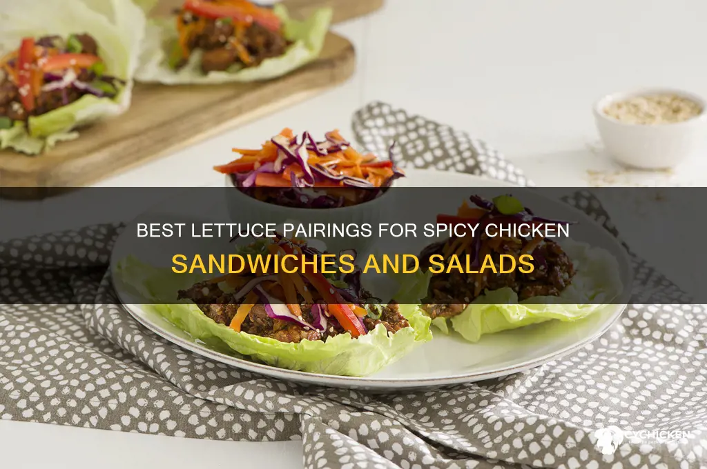 what kind of lettuce on spicy chicken