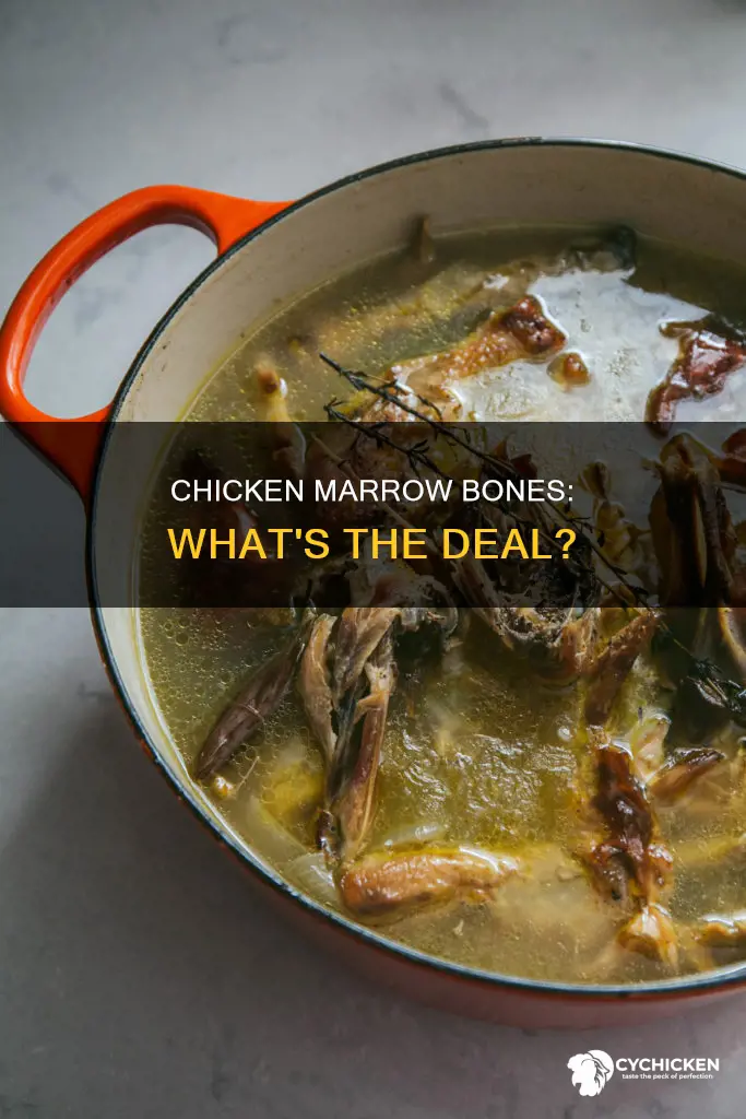 what kind of marrow bones are in a chicken