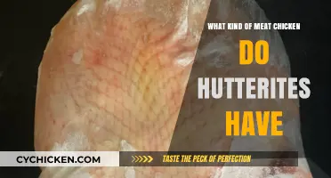 Hutterite Chicken Farming: Understanding Their Preferred Meat Chicken Breeds