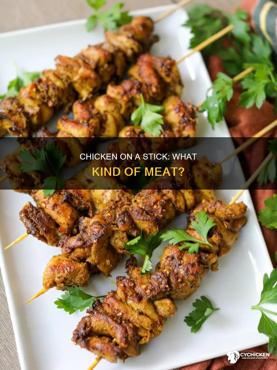 what kind of meat is chicken on a stick